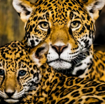 Se viene el concurso de fotografía para jóvenes en Salta