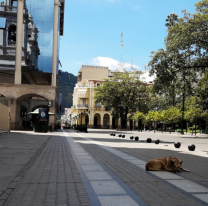 Atenci&oacute;n salte&ntilde;os: ma&ntilde;ana habr&aacute; paro y estos son los servicios afectados