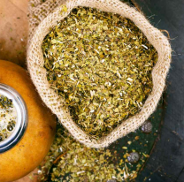 Un científico estudia la posibilidad de generar yerba descafeinada