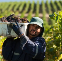 Hoy es el Día del Trabajador Vitivinícola en Argentina, ¿por qué se celebra en esta fecha?
