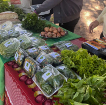 Quedó inaugurado el paseo de compras de productos orgánicos en San Luis