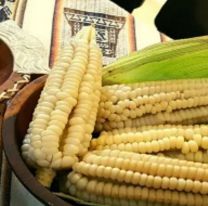 Se acerca la XVº Fiesta Provincial del Choclo Capia en Gobernador Solá