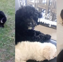 La hermana de Marcos Ginocchio mostr&oacute; al nuevo hermanito de Morita y hubo emoci&oacute;n en las redes