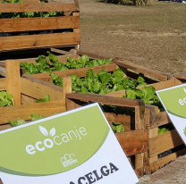 Mañana se realizará el "Ecocanje" en los parques urbanos de Salta