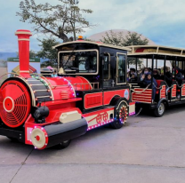 ¡Ideal para llevar a los peques! Estos son los horarios del Carrusel y del Tren del Parque del Bicentenario