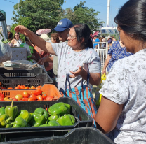 "El mercado en tu barrio" llega a barrio Limache con super descuentos