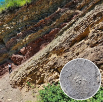 Encontraron huellas de un animal prehistórico en el Dique Cabra Corral