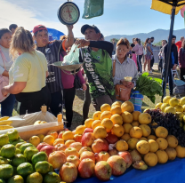 Atención salteños: La semana que viene el Mercado en tu barrio se traslada a Villa Primavera