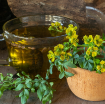 Hoy es el día Internacional del Té: por qué se celebra y cuáles son los más consumidos en Salta