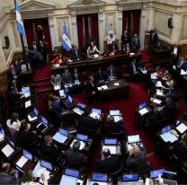 Los senadores volver&aacute;n a recibir un aumento de sueldo y pasar&aacute;n a cobrar $8 millones