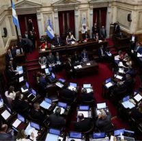Los senadores volverán a recibir un aumento de sueldo y pasarán a cobrar $8 millones