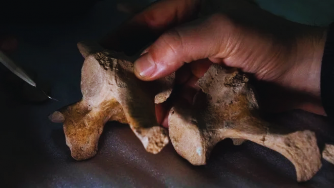 Científicos argentinos descubren el registro humano más antiguo de Sudamérica