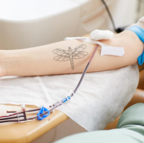 Hoy se realizar&aacute; una nueva colecta de sangre en General G&uuml;emes