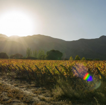 Tiempo en Salta: se viene un fin de semana con máximas de hasta los 30°C