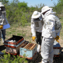 La Universidad Nacional de Salta brindar&aacute; cursos cortos gratuitos en distintos barrios salte&ntilde;os