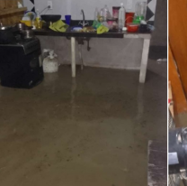 Intensas lluvias en Salta: varios árboles caídos y calles inundadas en la ciudad y el interior