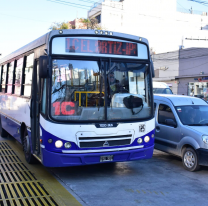 Así funcionará el servicio de colectivos por el feriado nacional de hoy lunes