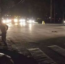 Apag&oacute;n masivo afect&oacute; a Salta y Jujuy: miles de familias quedaron sin luz