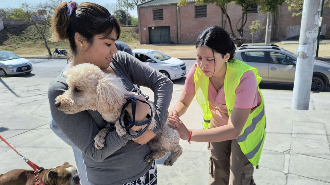 La semana que viene habrá atención veterinaria gratuita en barrios salteños