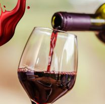 "Tintos de Verano": Vuelve la experiencia de cata con entrada gratuita