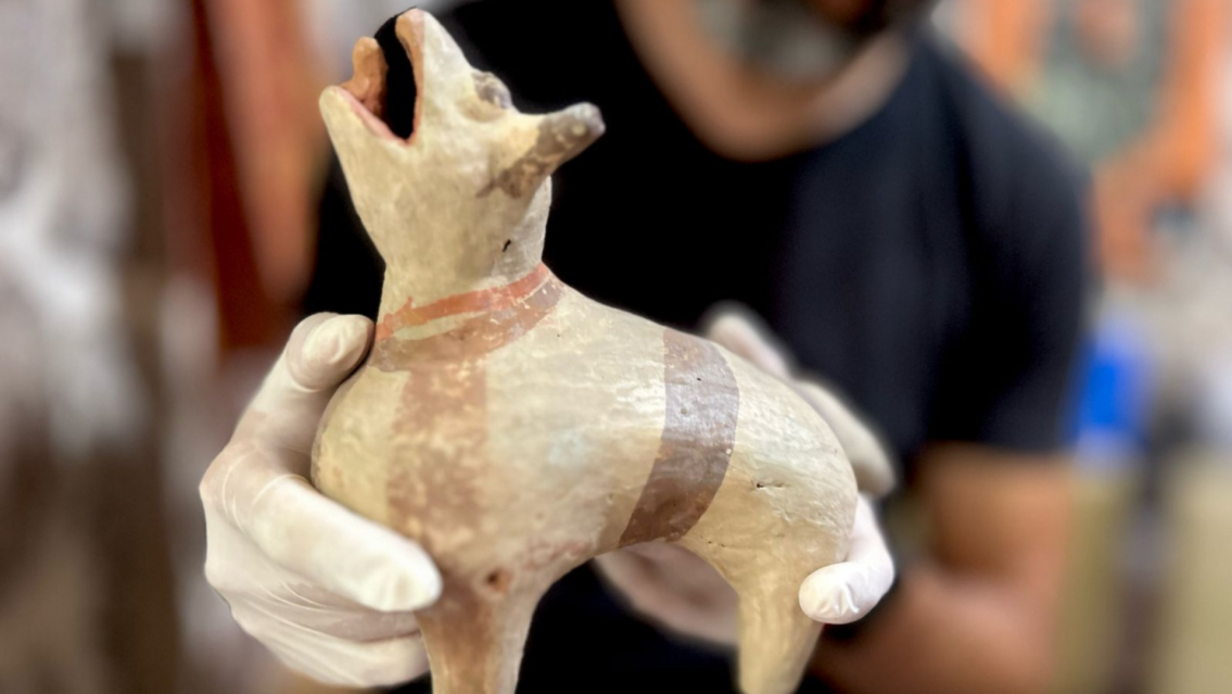  "En el Monte" la muestra imperdible que el Museo de Antropología prepara para celebrar el 50° aniversario