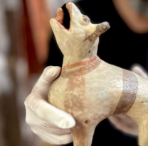 El Museo de Antropología celebra 50 años con una muestra imperdible