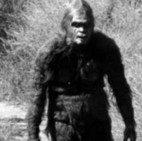 Salteña asegura haber visto en 3 ocasiones al Ucumar