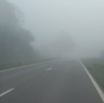 Ruta salteña amaneció cubierta de neblina: piden a conductores tomar precaución