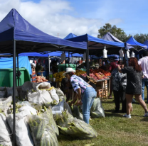 El Mercado en tu Barrio llega hoy a la UNSA