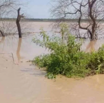 La provincia planifica la asistencia a comunidades y parajes aislados por la crecida del río Bermejo