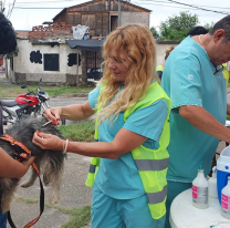 La próxima semana habrá vacunación antirrábica en barrio Primavera y Santa Lucía
