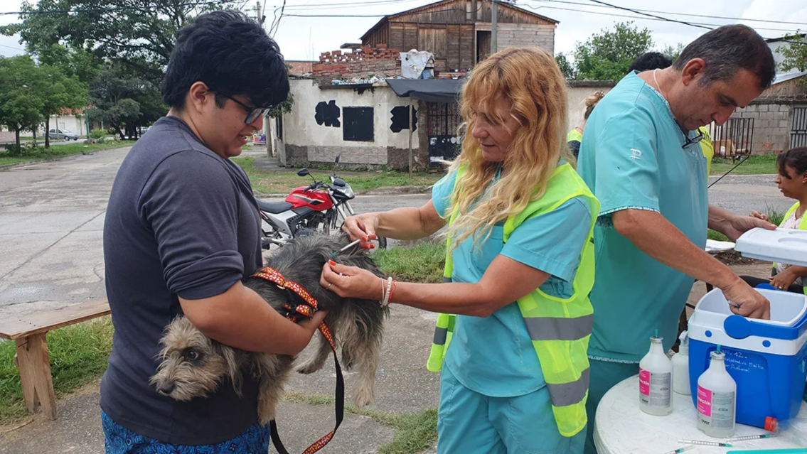 ¡Atención vecinos! habrá castración móvil en la Zona sudeste
