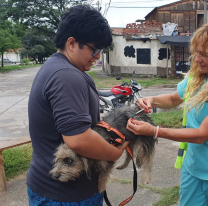 ¡Atención vecinos! habrá castración móvil en la Zona sudeste