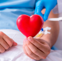 Ya son 49 los salteños que concretaron una donación de médula ósea