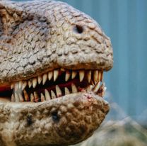 Llega la incre&iacute;ble Expo Experiencia Jur&aacute;sica a Salta: cu&aacute;ndo ser&aacute; y c&oacute;mo conseguir entradas