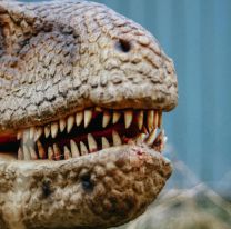 Llega la increíble Expo Experiencia Jurásica a Salta: cuándo será y cómo conseguir entradas