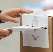 Elecciones legislativas Salta 2025: ya podes consultar el padrón electoral para ver dónde votas