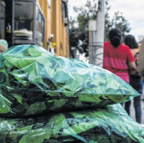 El coqueo, rasgo de la salteñidad: un ritual que atraviesa el tiempo y las clases sociales