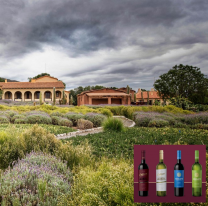 El vino de Salta en lo más alto, una vez más