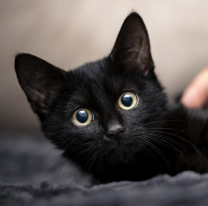 &iquest;Por qu&eacute; se cree que el martes 13 trae mala suerte?