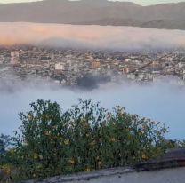 ¡Circular con precaución! la ciudad amaneció cubierta por una densa neblina