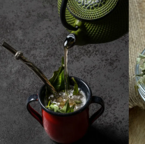 Cedr&oacute;n en el mate: el yuyito que conquista por su aroma y sus beneficios a la salud