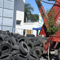 Se realizó con éxito una nueva edición del Neumatón en Salta