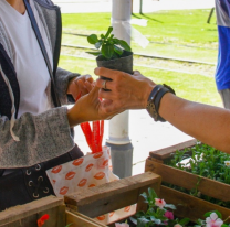 Mañana habrá una nueva jornada de Ecocanje en los Parques Urbanos