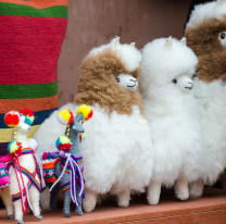 Abrieron las inscripciones para artesanos y emprendedores para la 5º Feria Regional de Productores en Chicoana