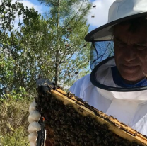 Día del Apicultor: por qué su trabajo se celebra cada 21 de junio