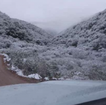 Por nevadas, restringen el paso en Ruta Provincial Nº 27 en Salta