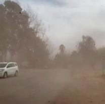 Atención salteños: rige alerta amarilla por fuertes vientos en Salta