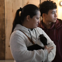 Seis cachorritos fueron adoptados ahora tienen un nuevo hogar