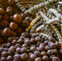 Sabores del monte: los frutos salteños que endulzan la "Semana de la Dulzura" y nutren el alma